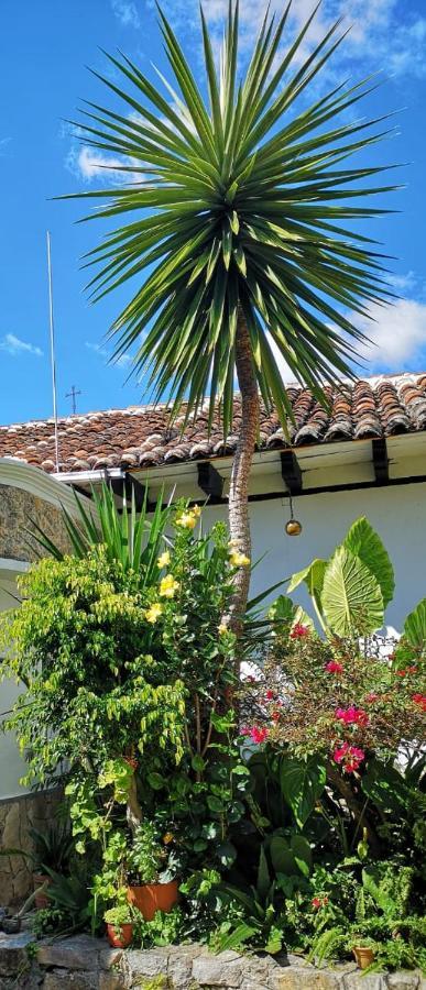 Hotel Posada Casa Juana Сан-Кристобаль-де-Ла-Касас Экстерьер фото